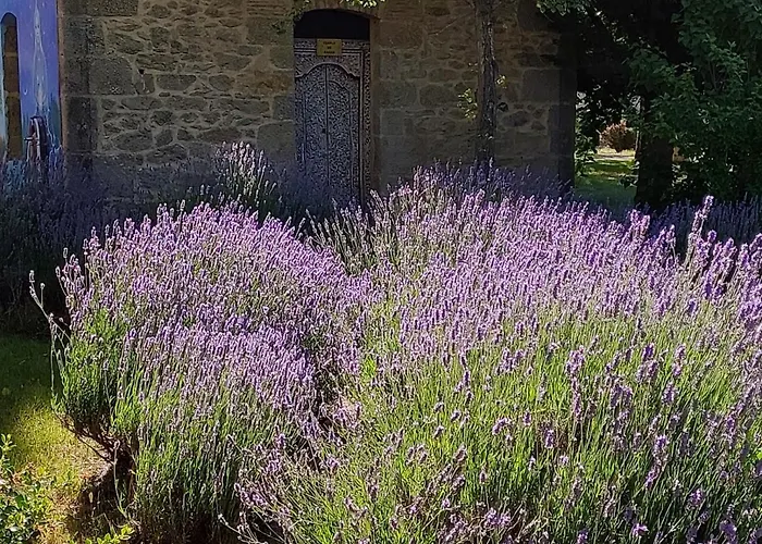 컨트리하우스 Casa Atenea *